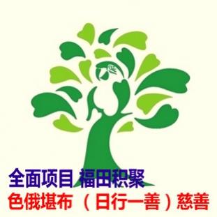 色俄堪布【生命之树】日行一善一元功德 济困助残 全面慈善项目 善款支付